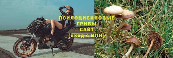 стаф Баксан